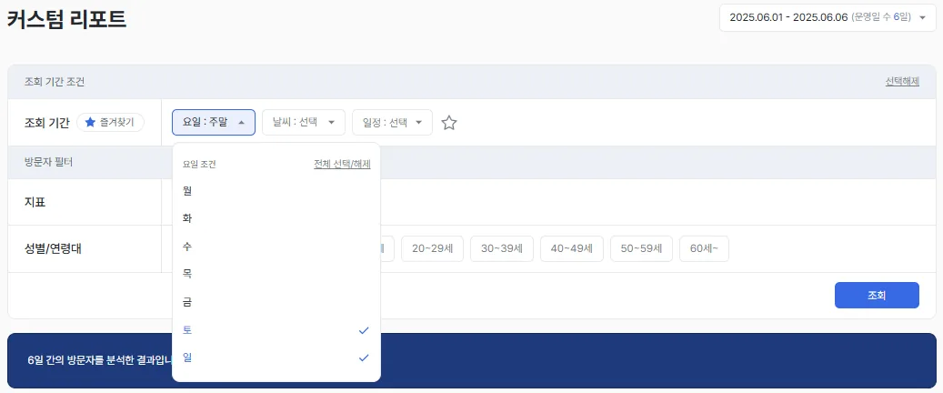 커스텀 리포트 화면. 조회 기간, 요일, 날씨, 일정과 방문자 필터를 직접 골라 조건을 설정하는 화면